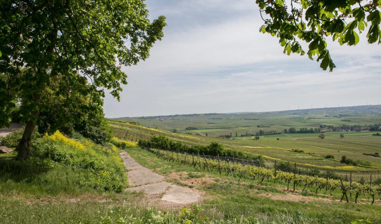 Hofgut Wissberg - Das Weinberghotel Санкт-Йохан Экстерьер фото