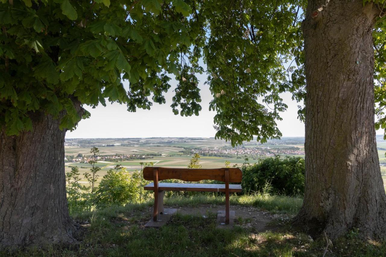 Hofgut Wissberg - Das Weinberghotel Санкт-Йохан Экстерьер фото