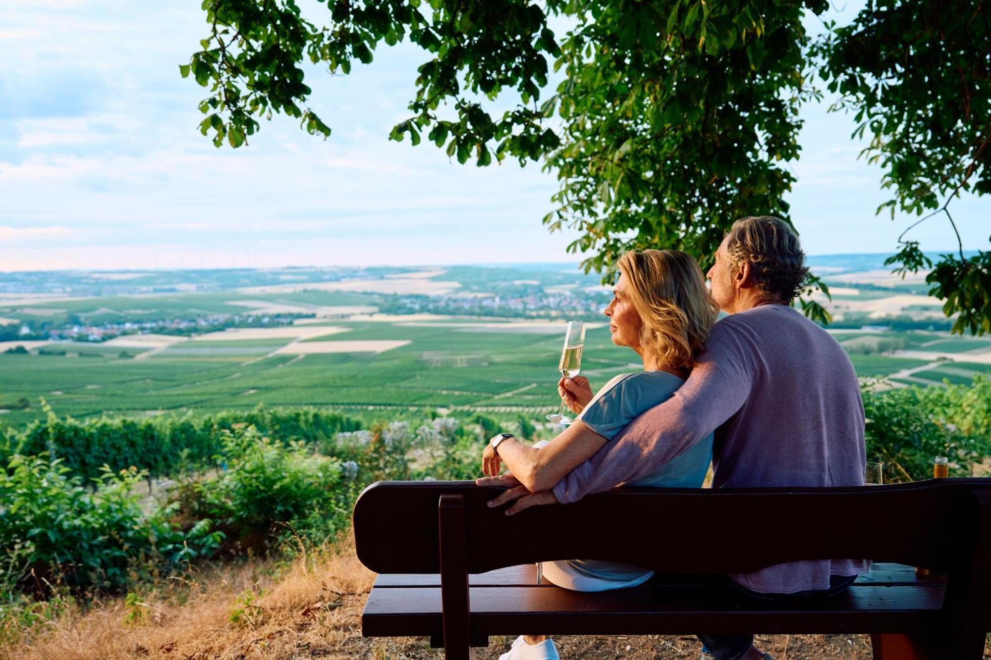 Hofgut Wissberg - Das Weinberghotel Санкт-Йохан Экстерьер фото