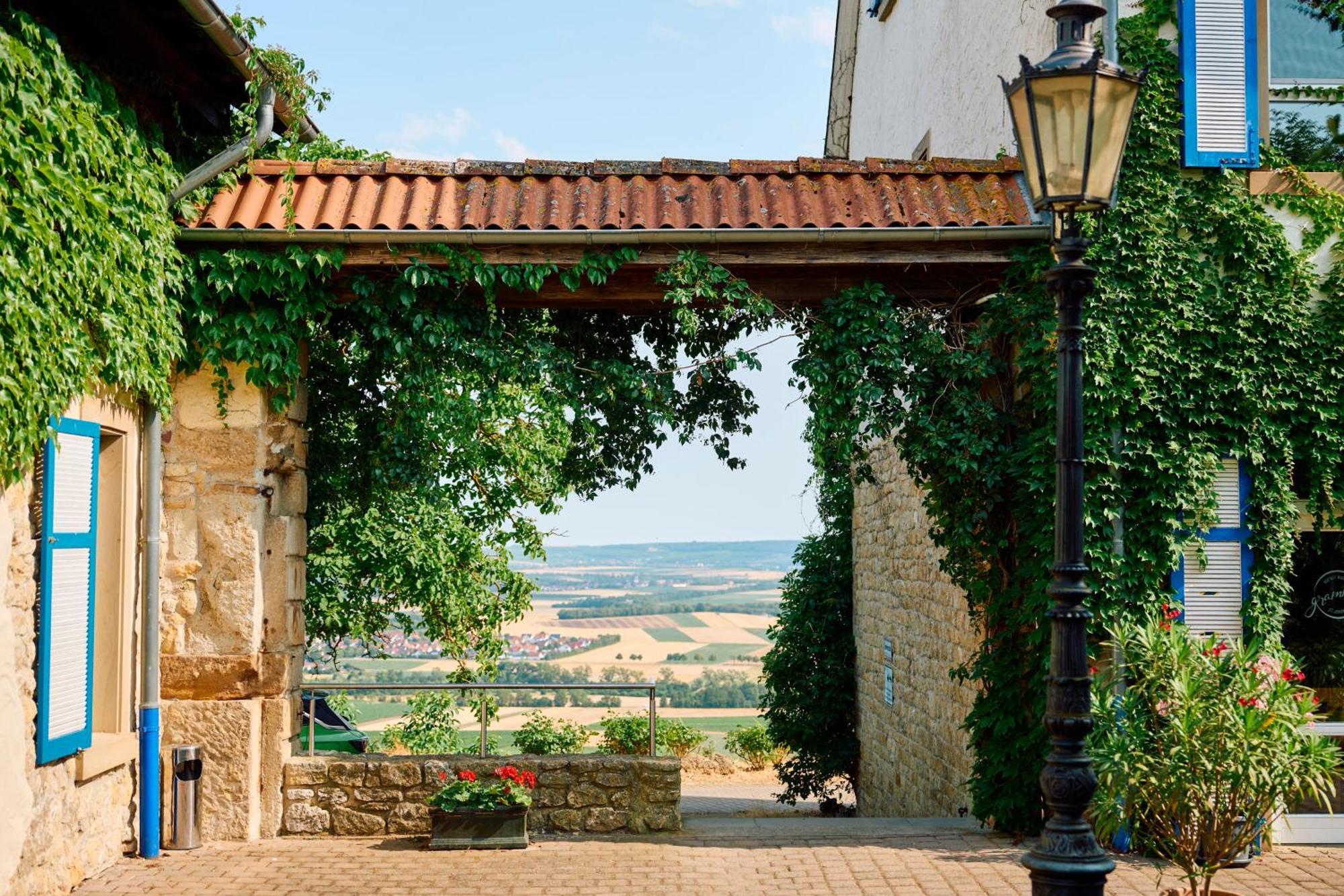 Hofgut Wissberg - Das Weinberghotel Санкт-Йохан Экстерьер фото