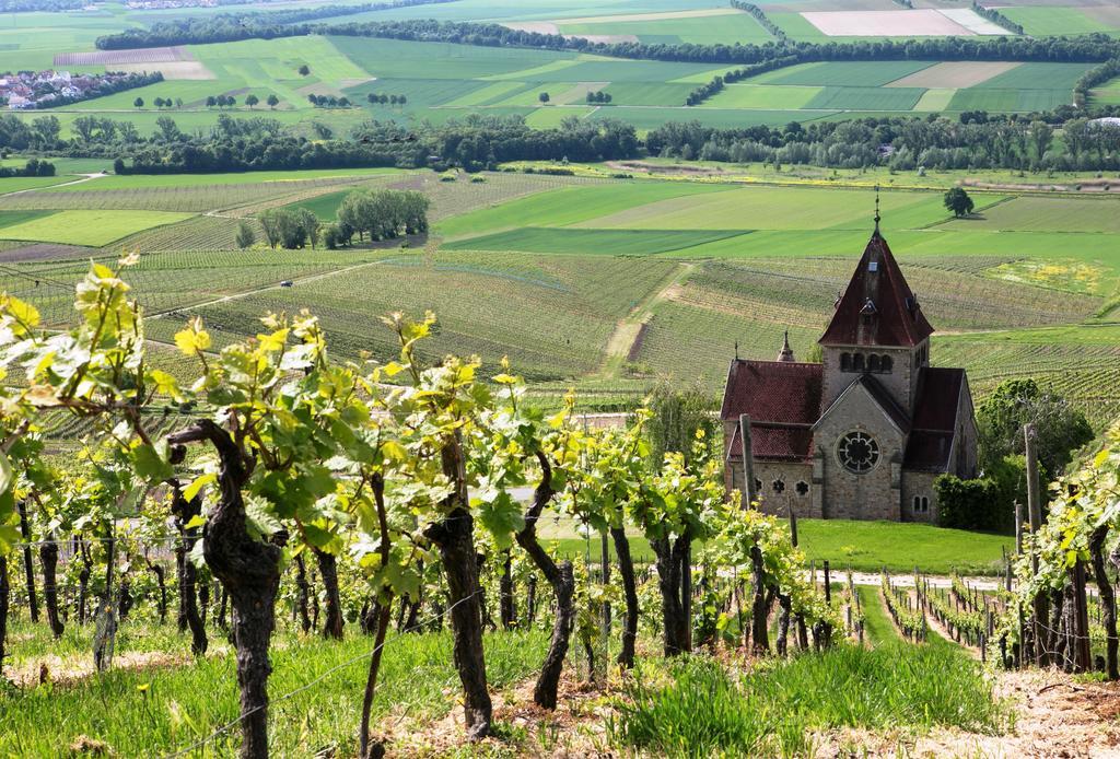 Hofgut Wissberg - Das Weinberghotel Санкт-Йохан Экстерьер фото